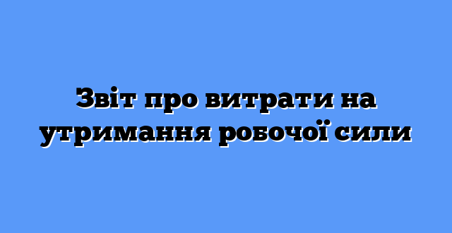 Звіт про витрати на утримання робочої сили