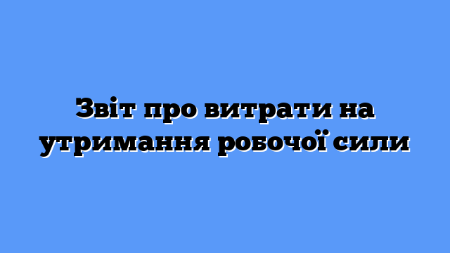 Звіт про витрати на утримання робочої сили