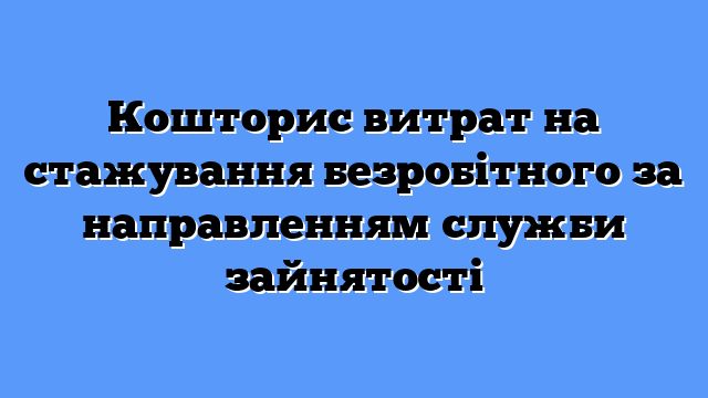 Кошторис витрат на стажування безробітного за направленням служби зайнятості
