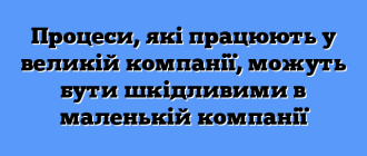 Процеси, які працюють у великій компанії, можуть бути шкідливими в маленькій компанії